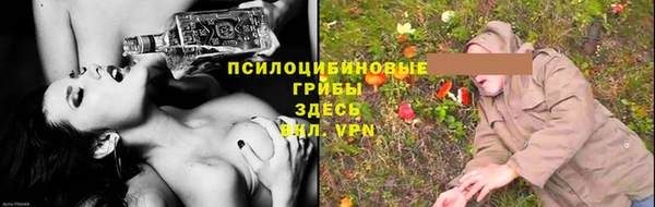 jwh Аркадак
