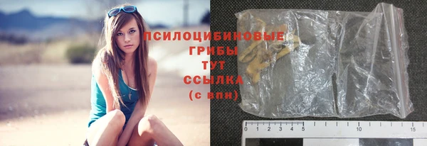 ПСИЛОЦИБИНОВЫЕ ГРИБЫ Арсеньев