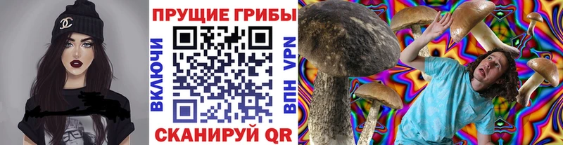Псилоцибиновые грибы Psilocybine cubensis  Купить закладки  Никольск 